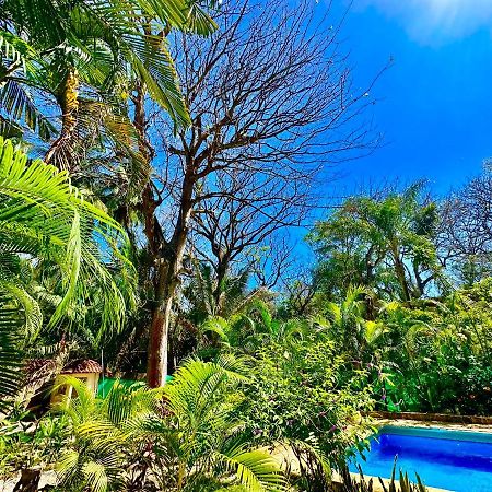 Pacifica Surf Studios Playa Santa Teresa  Екстер'єр фото